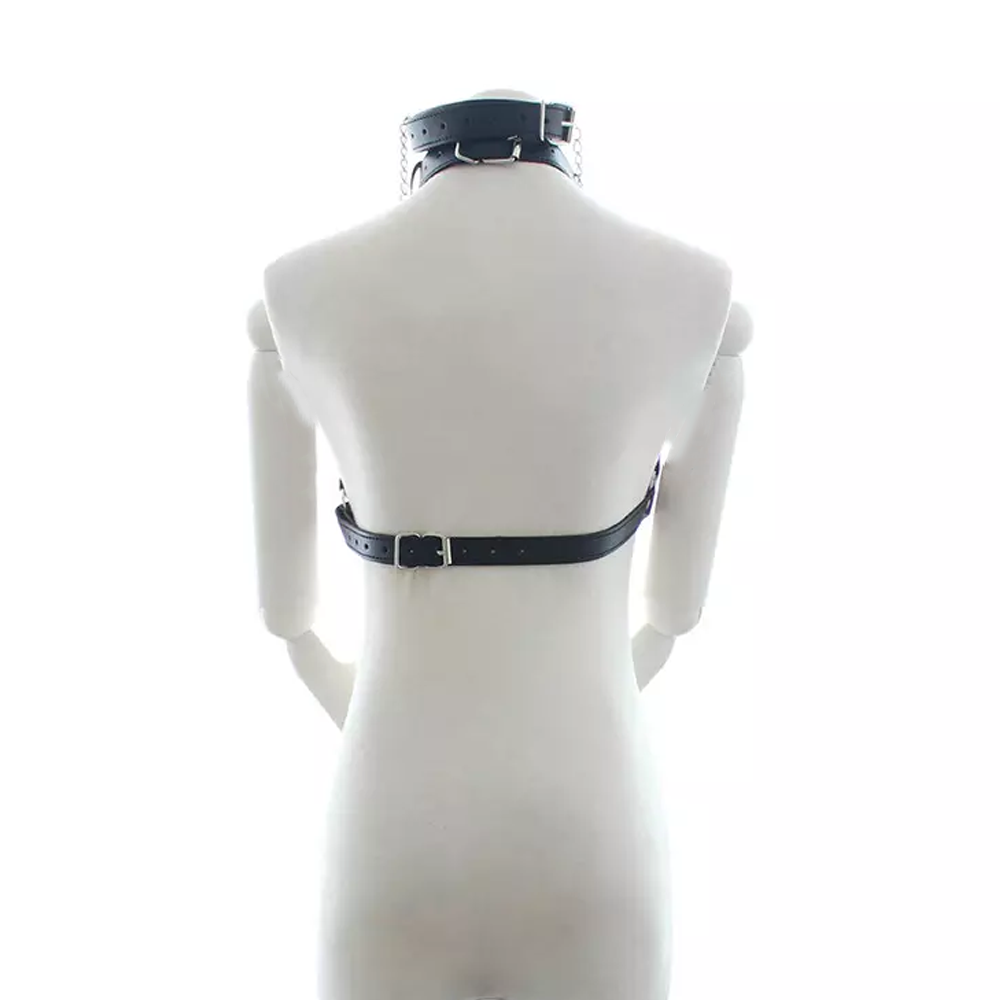 Female Harness and Ring Gag