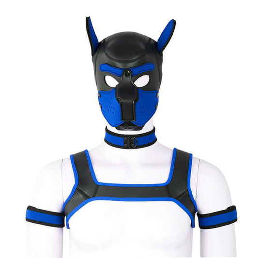 ALPHA PUP HOOD SET - Blue & Black