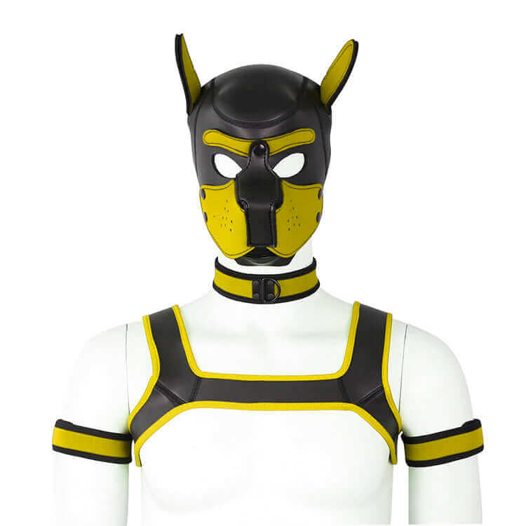ALPHA PUP HOOD SET - Yellow & Black