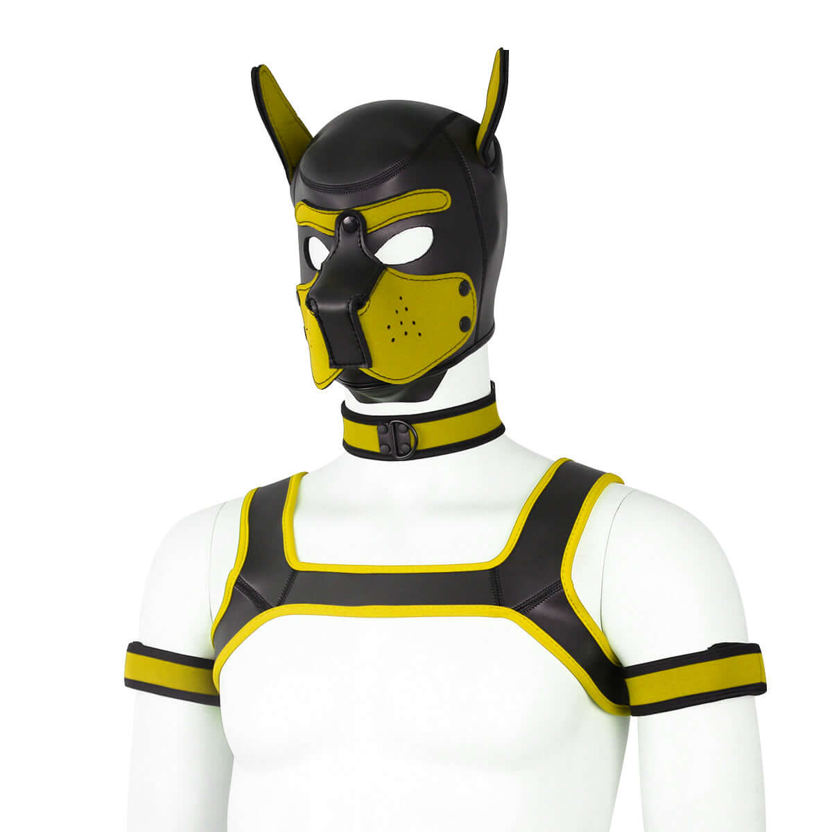 ALPHA PUP HOOD SET - Yellow & Black
