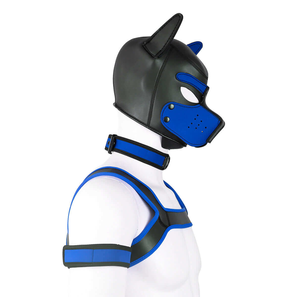 ALPHA PUP HOOD SET - Blue & Black