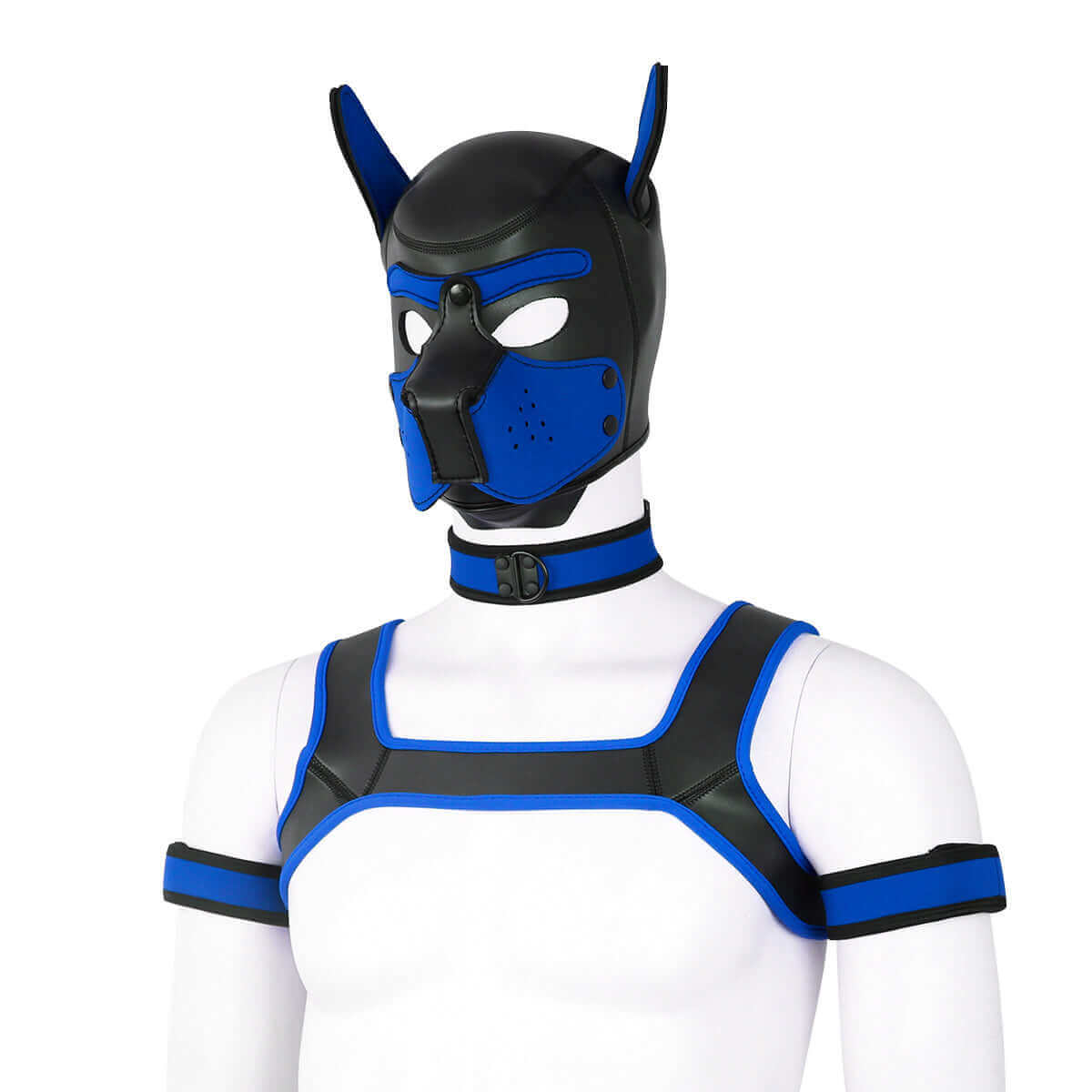 ALPHA PUP HOOD SET - Blue & Black