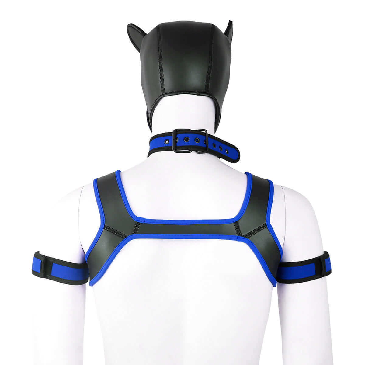 ALPHA PUP HOOD SET - Blue & Black