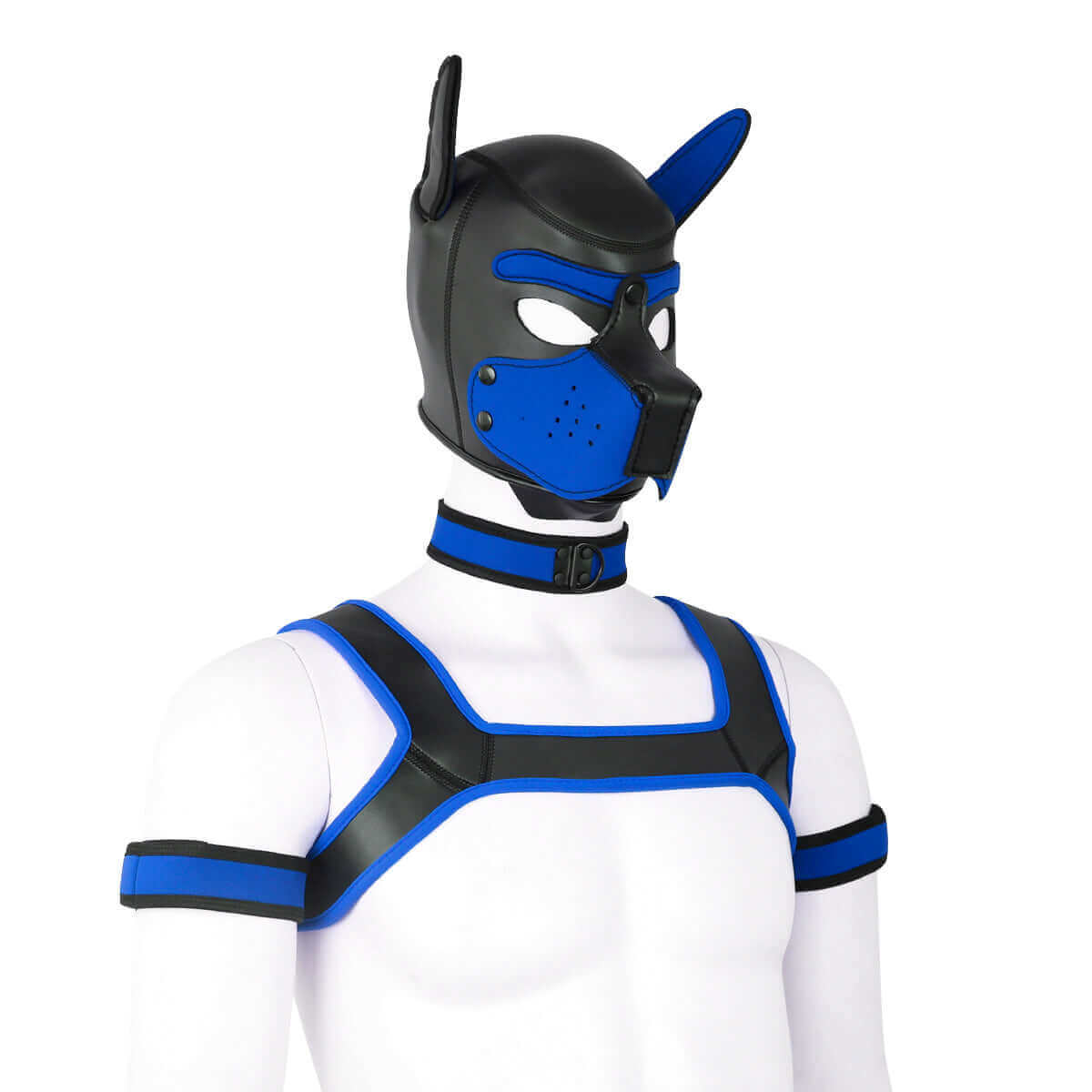 ALPHA PUP HOOD SET - Blue & Black