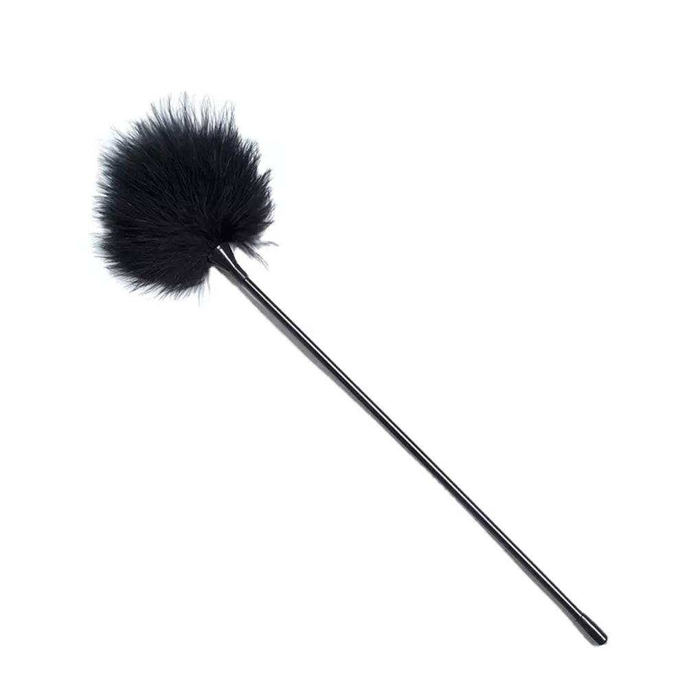 Delicate Feather Duster